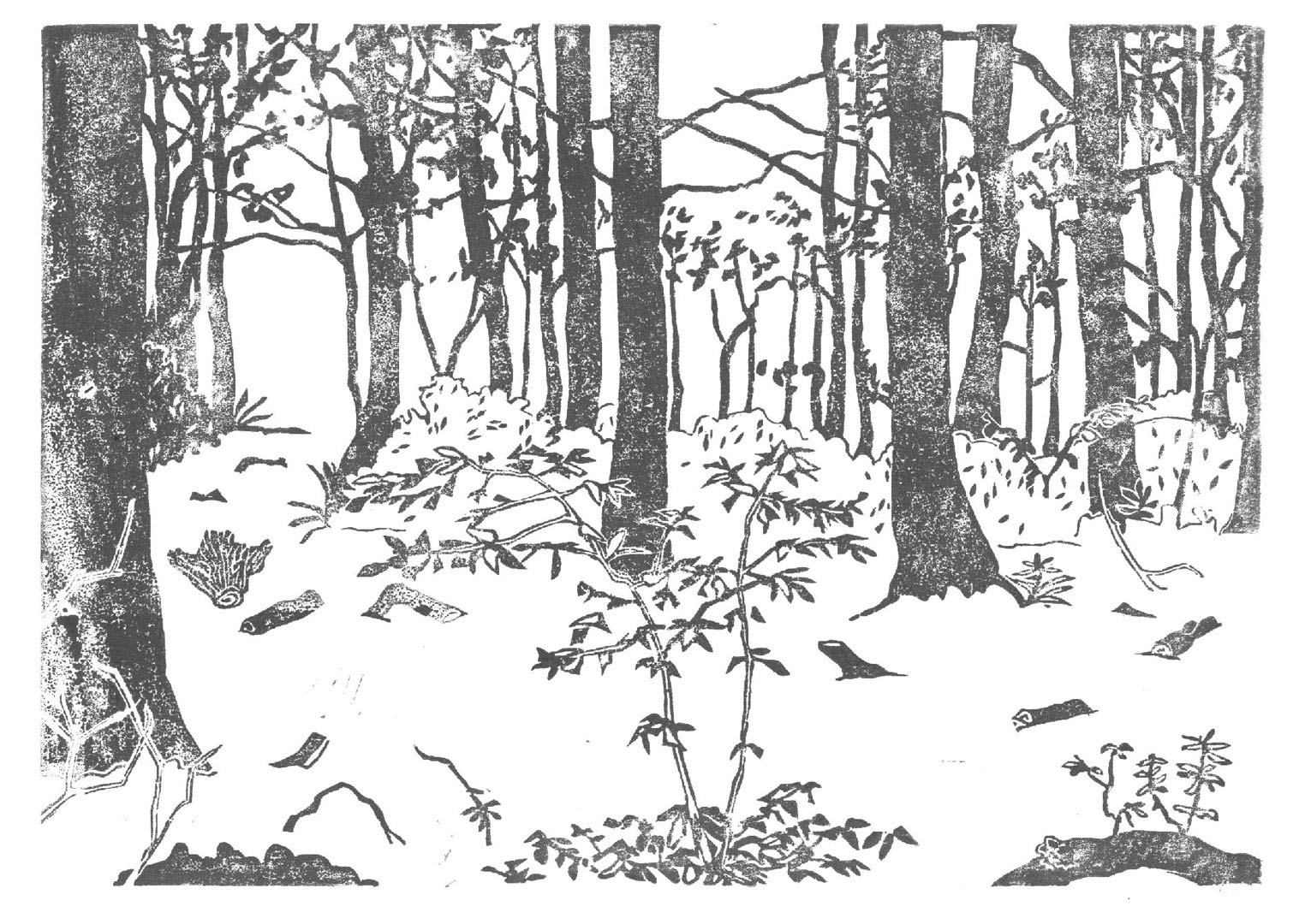 6FORET2019 (3)